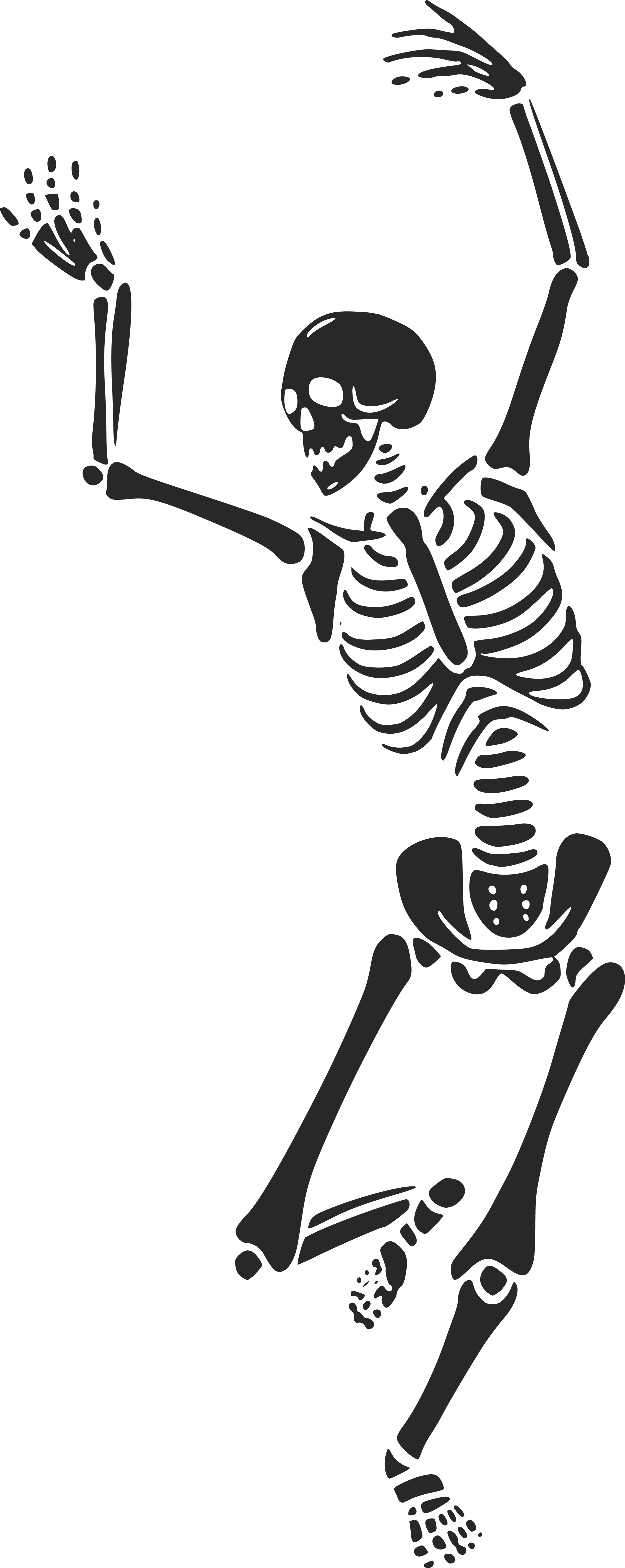 American Ruin - Custom bondage belts hand made in Ventura - Footer Skeleton 3